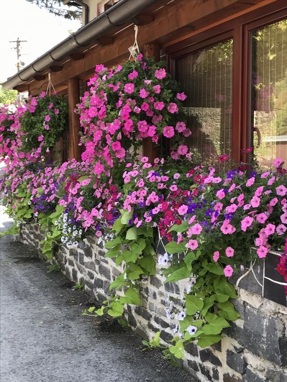 Penzion Holub Tajov Exterior foto